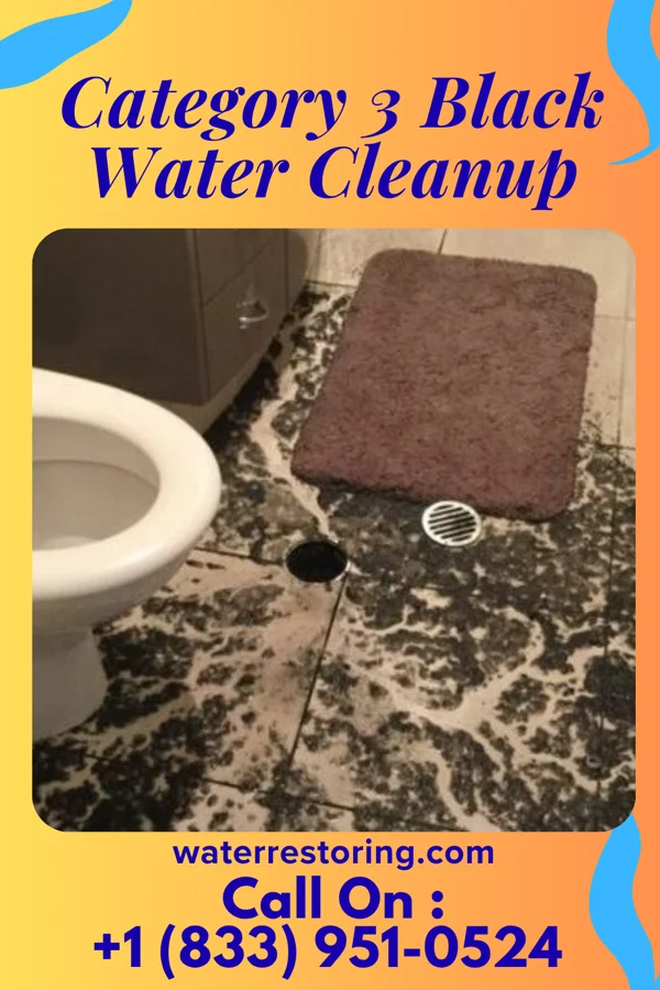 Category 3 Black Water Cleanup in DeSales University, PA