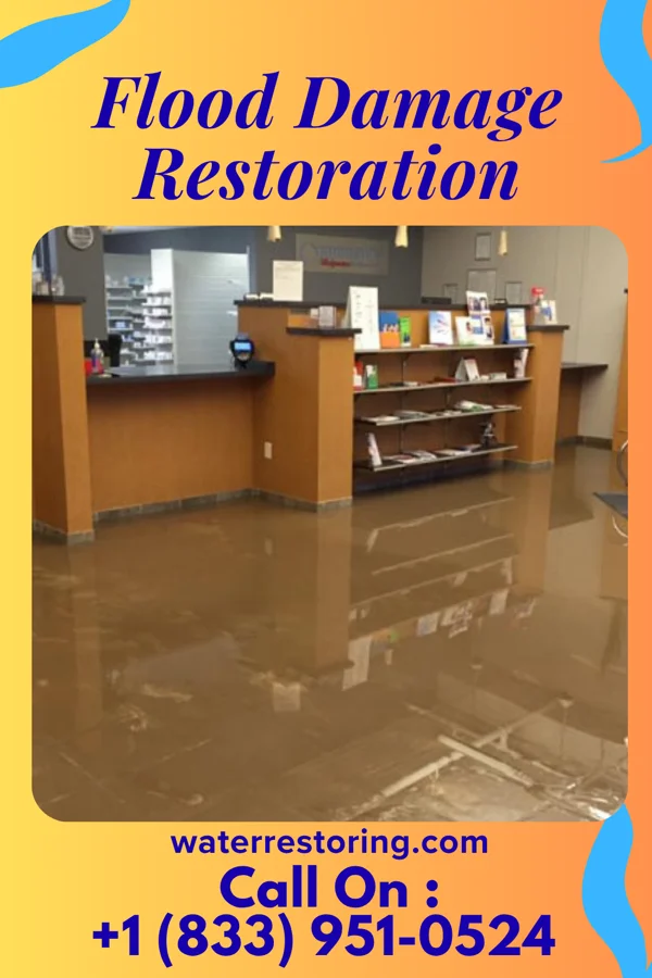 Flood Damage Restoration in DeSales University, PA