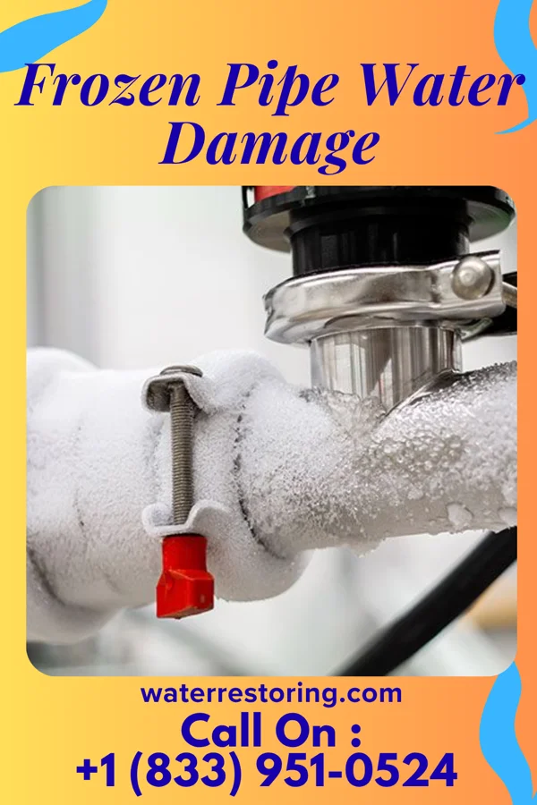 Frozen Pipe Water Damage in DeSales University, PA