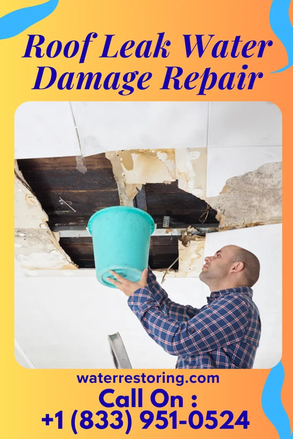 Roof Leak Water Damage Repair in DeSales University, PA