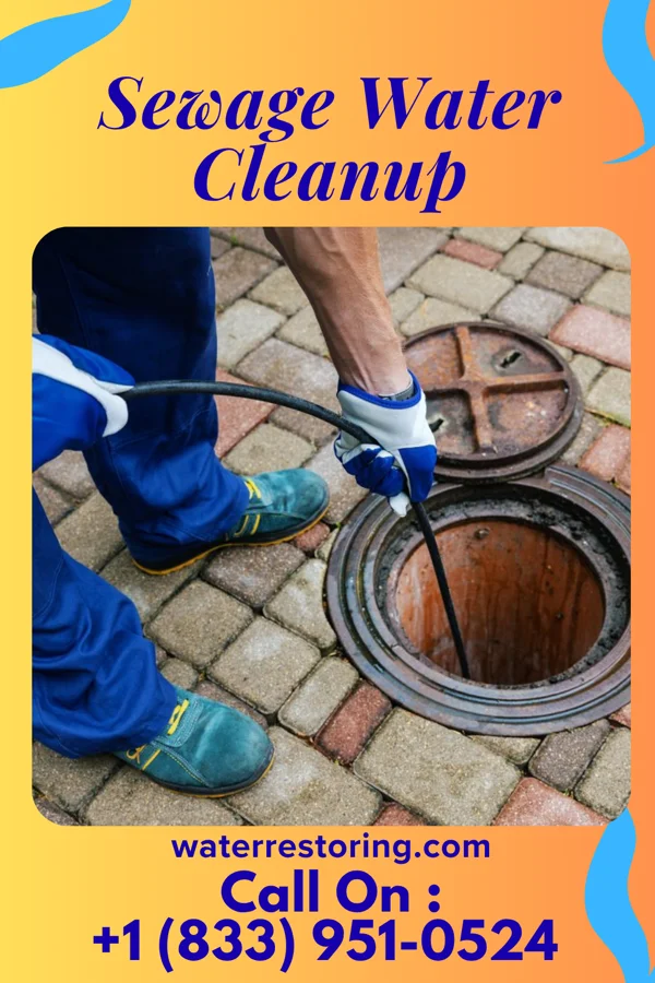 Sewage Water Cleanup in DeSales University, PA