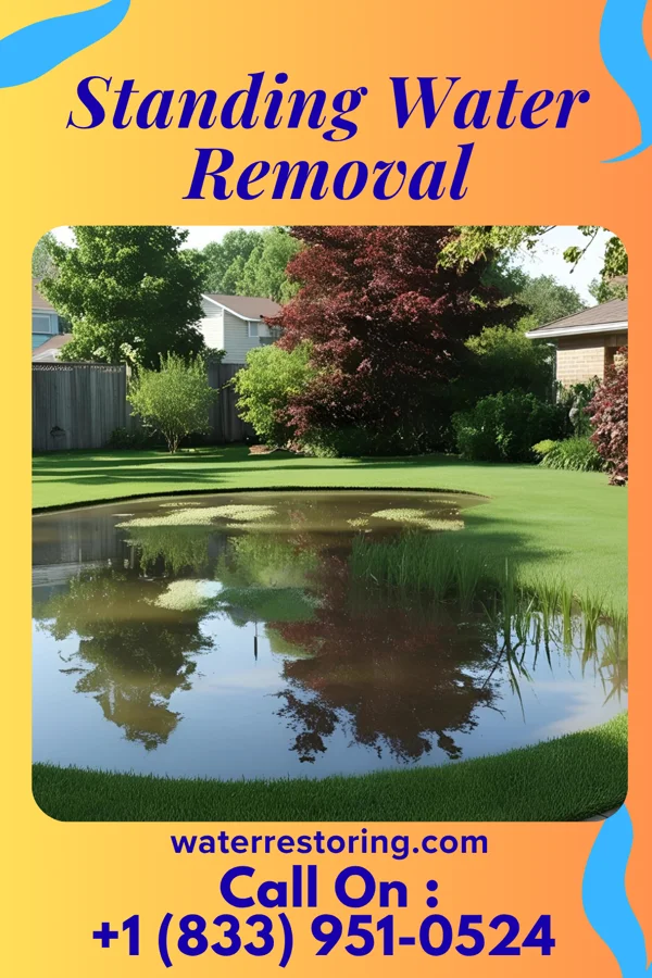Standing Water Removal in DeSales University, PA